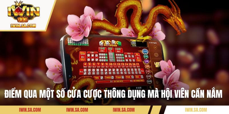 Điểm qua một số cửa cược thông dụng mà hội viên cần nắm 