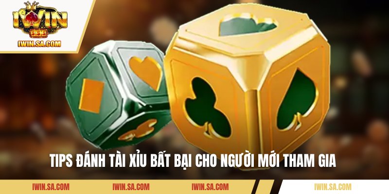 Tips đánh tài xỉu bất bại cho người mới tham gia 